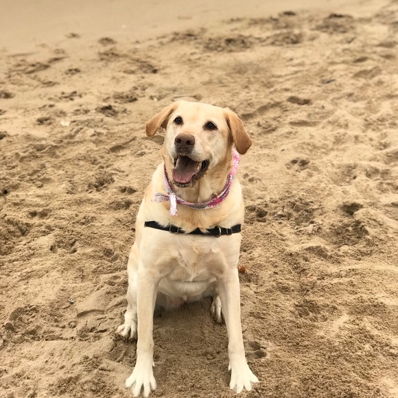 Meet your Posher, Charles - Picture 1 of 1